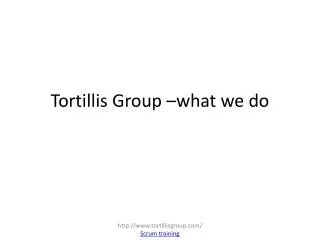 Tortillis Group –what we do