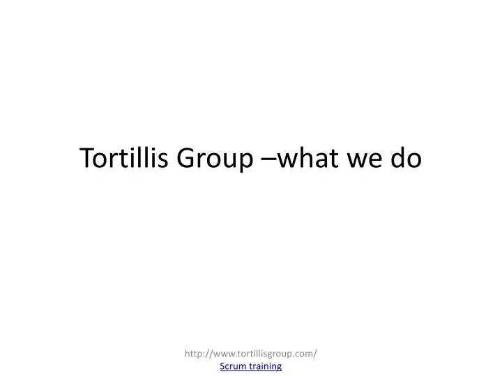 tortillis group what we do