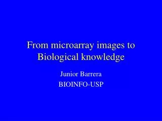 From microarray images to Biological knowledge