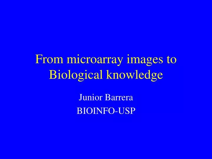 from microarray images to biological knowledge