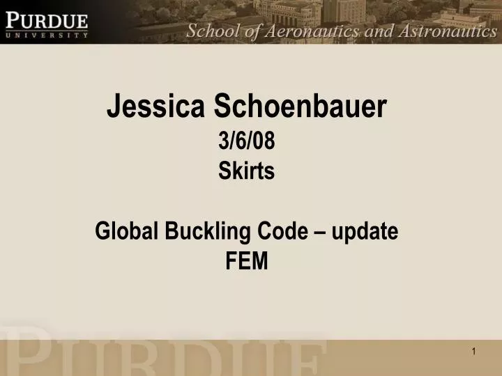 jessica schoenbauer 3 6 08 skirts global buckling code update fem