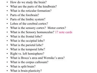 How do we study the brain? What are the parts of the hindbrain? What is the reticular formation?