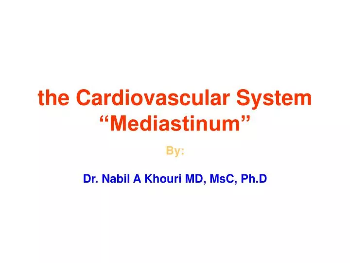 the cardiovascular system mediastinum
