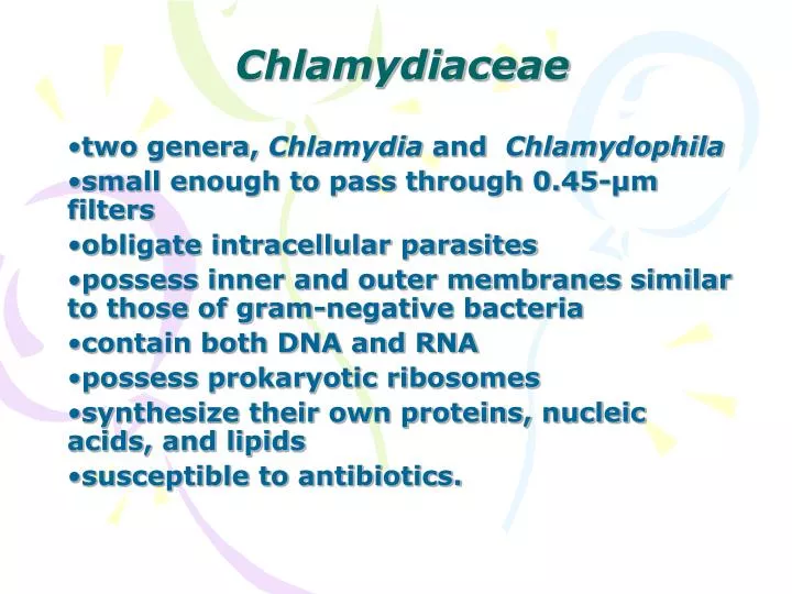 chlamydiaceae