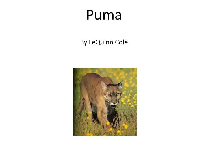 puma by lequinn cole
