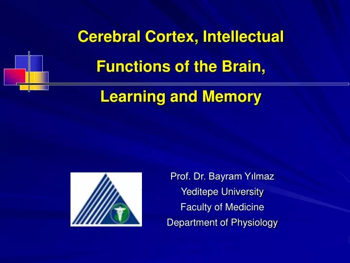 cerebral cortex intellectual functions of the brain learning and memory