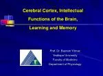 Cerebral Cortex, Intellectual Functions of the Brain, Learning and Memory - slide 1