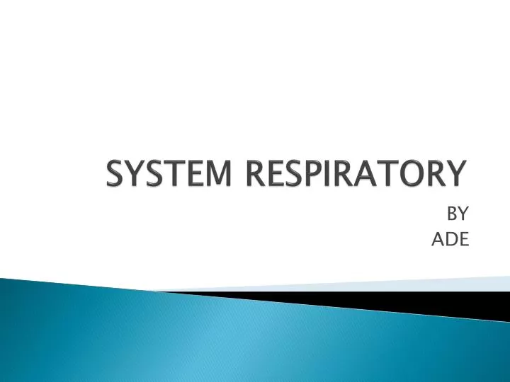 system respiratory