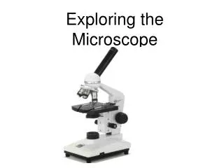 Exploring the Microscope
