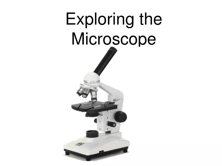 exploring the microscope