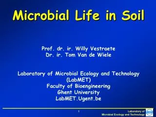 Microbial Life in Soil
