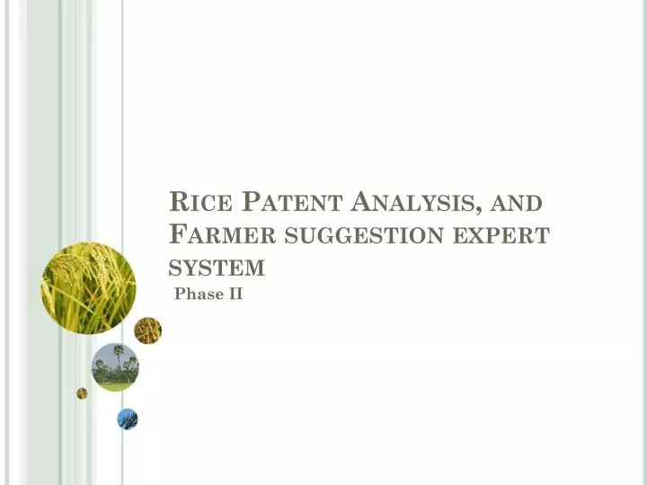 rice patent analysis and farmer suggestion expert system
