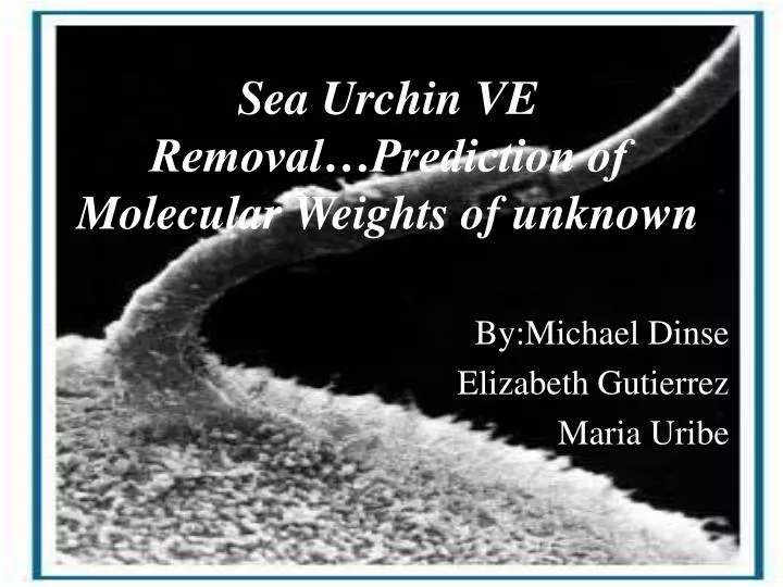 sea urchin ve removal prediction of molecular weights of unknown