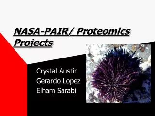 NASA-PAIR/ Proteomics Projects