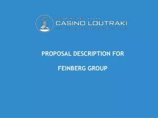 PROPOSAL DESCRIPTION FOR FEINBERG GROUP