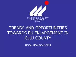 TRENDS AND OPPORTUNITIES TOWARDS EU ENLARGEMENT IN CLUJ COUNTY Udine, December 2003