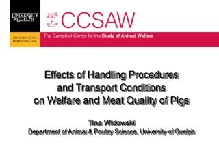 Effects of Handling Procedures and Transport Conditions on Welfare and Meat Quality of Pigs