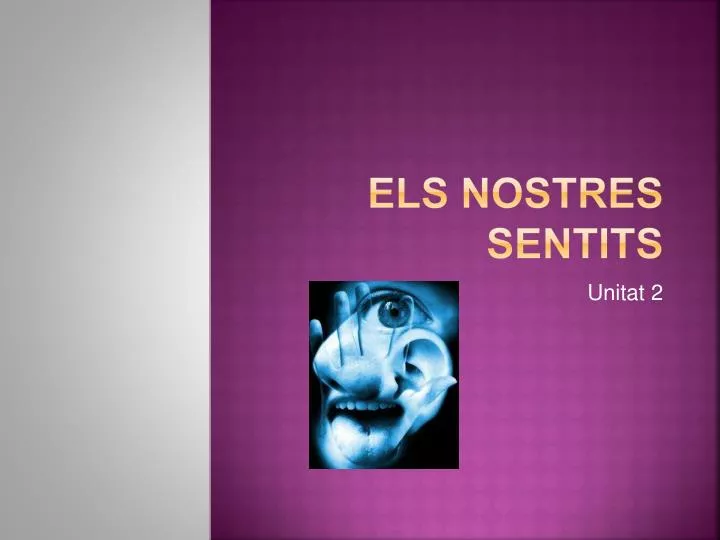 els nostres sentits