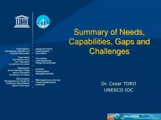 Summary of Needs, Capabilities, Gaps and Challenges