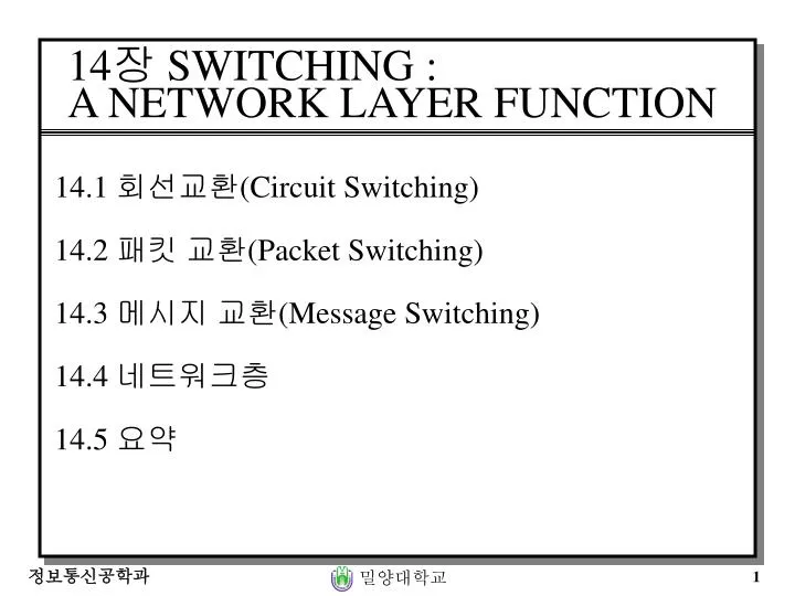 14 switching a network layer function