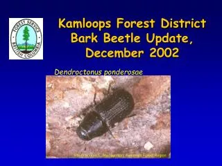 Kamloops Forest District Bark Beetle Update, December 2002