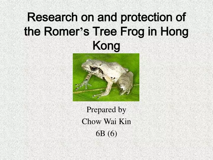 research on and protection of the romer s tree frog in hong kong