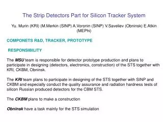 The Strip Detectors Part for Silicon Tracker System