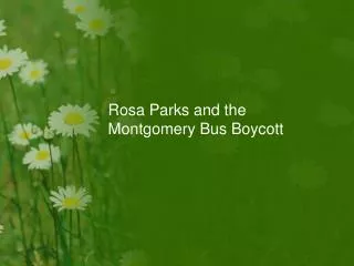 rosa parks and the montgomery bus boycott