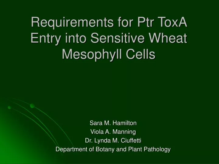 requirements for ptr toxa entry into sensitive wheat mesophyll cells