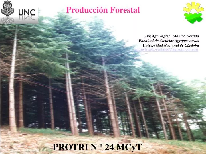 producci n forestal