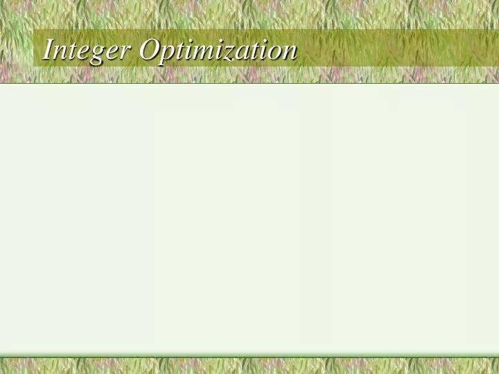 integer optimization