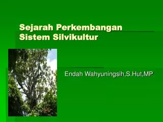 PPT - PEDOMAN PELAKSANAAN SISTEM SILVIKULTUR TEBANG PILIH TANAM ...