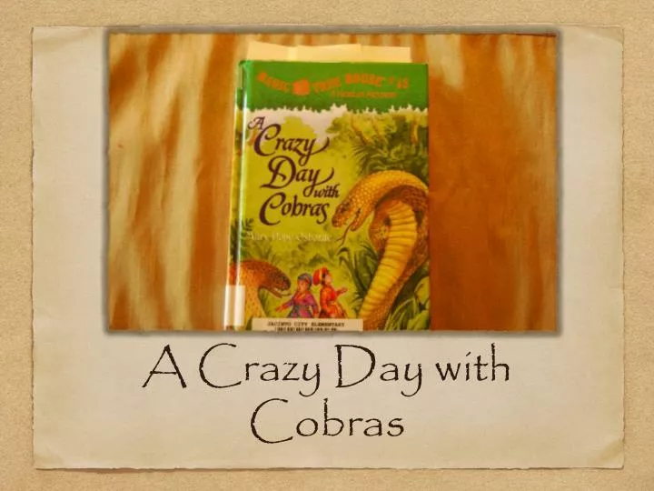 a crazy day with cobras