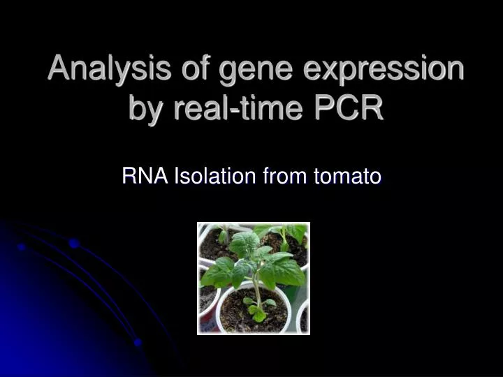 analysis of gene expression by real time pcr