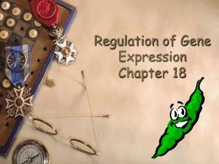 Regulation of Gene Expression Chapter 18