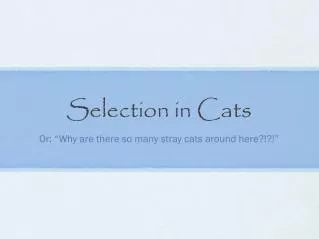 Selection in Cats