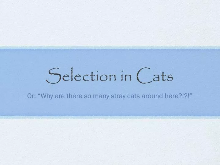 selection in cats