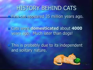 HISTORY BEHIND CATS