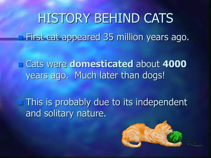 history behind cats