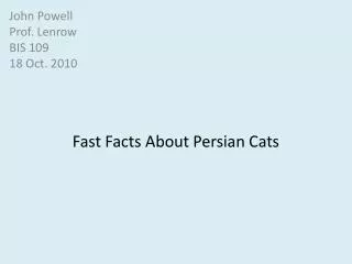 Fast Facts About Persian Cats