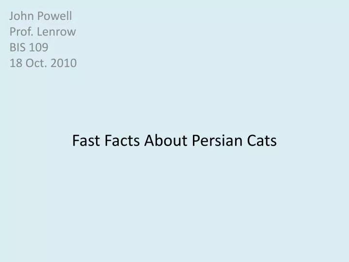 fast facts about persian cats
