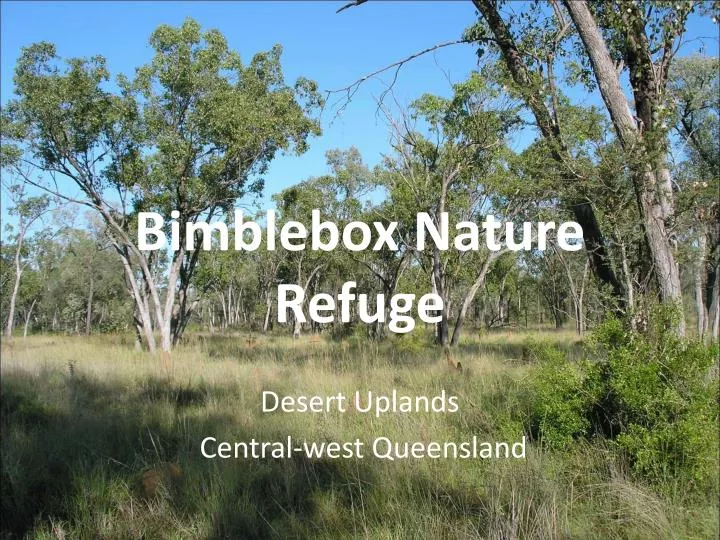 bimblebox nature refuge