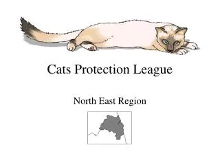 Cats Protection League