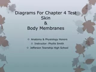 Diagrams For Chapter 4 Test Skin &amp; Body Membranes