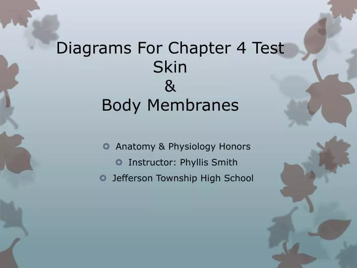 diagrams for chapter 4 test skin body membranes