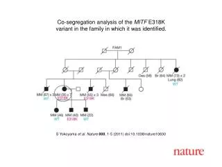 S Yokoyama et al . Nature 000 , 1 - 5 (2011) doi:10.1038/nature10630