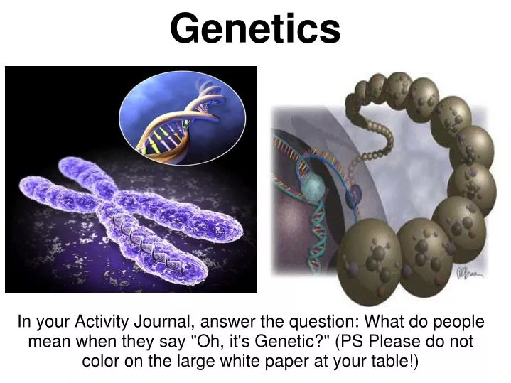 genetics