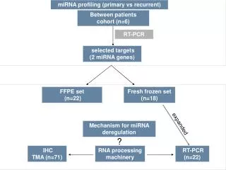 RNA processing machinery
