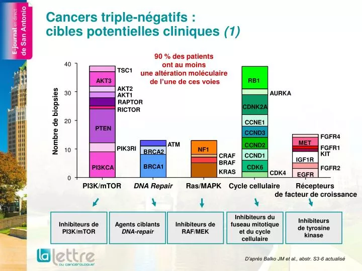 cancers triple n gatifs cibles potentielles cliniques 1