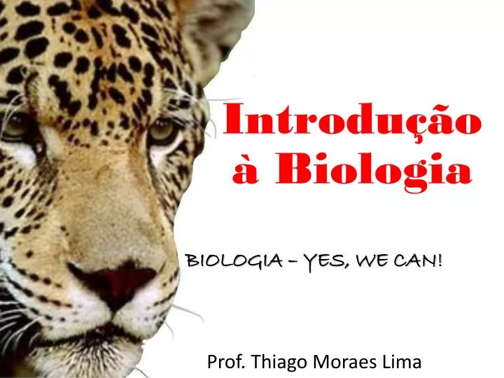 biologia yes we can prof thiago moraes lima